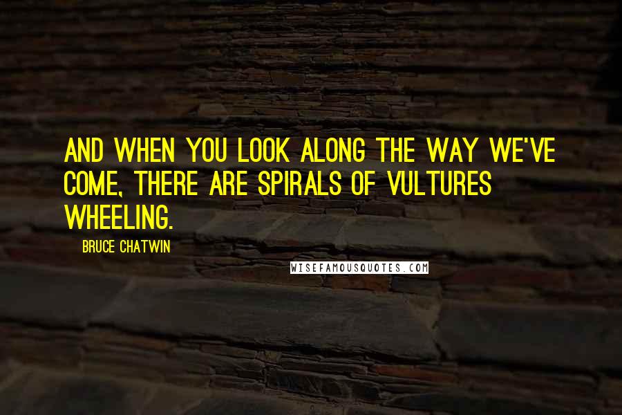Bruce Chatwin Quotes: And when you look along the way we've come, there are spirals of vultures wheeling.
