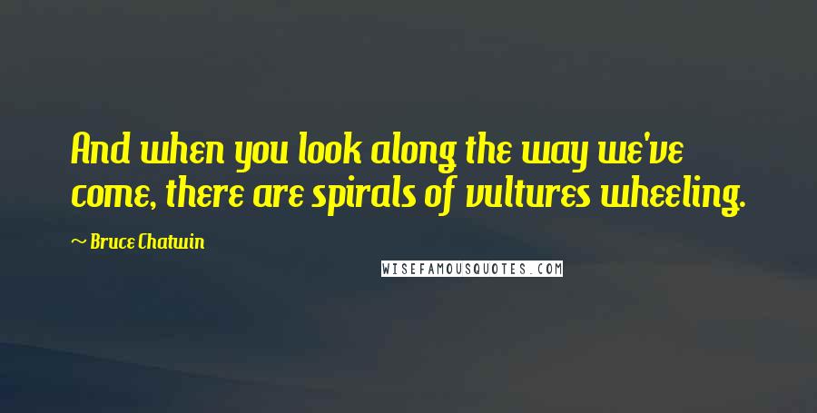 Bruce Chatwin Quotes: And when you look along the way we've come, there are spirals of vultures wheeling.