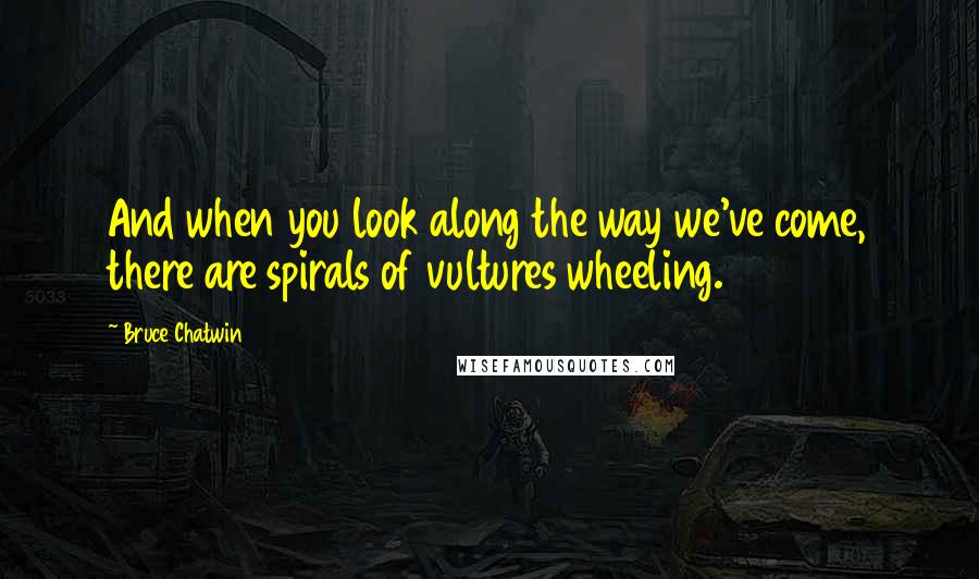 Bruce Chatwin Quotes: And when you look along the way we've come, there are spirals of vultures wheeling.