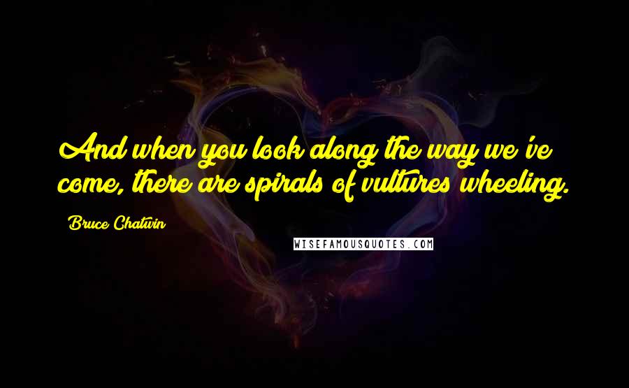 Bruce Chatwin Quotes: And when you look along the way we've come, there are spirals of vultures wheeling.