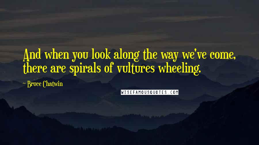 Bruce Chatwin Quotes: And when you look along the way we've come, there are spirals of vultures wheeling.