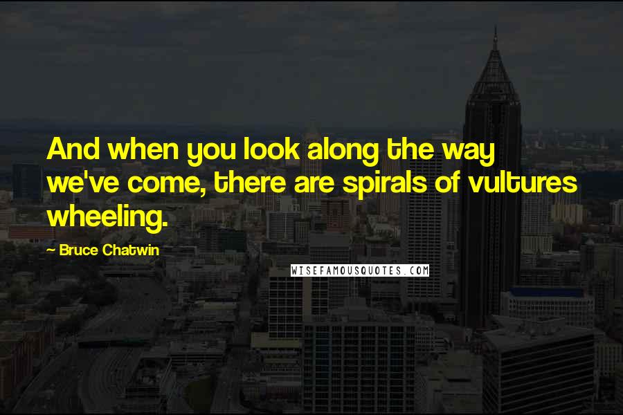Bruce Chatwin Quotes: And when you look along the way we've come, there are spirals of vultures wheeling.