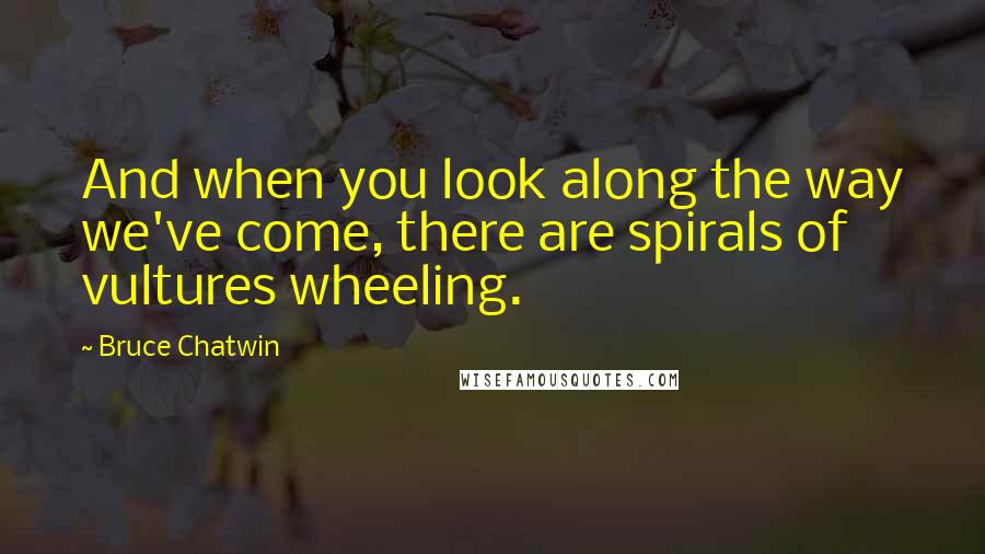 Bruce Chatwin Quotes: And when you look along the way we've come, there are spirals of vultures wheeling.