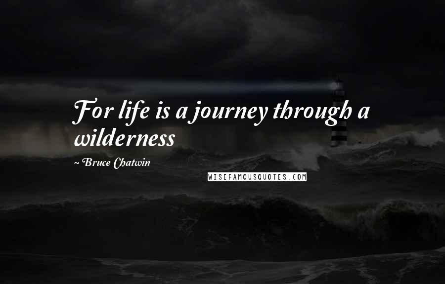 Bruce Chatwin Quotes: For life is a journey through a wilderness