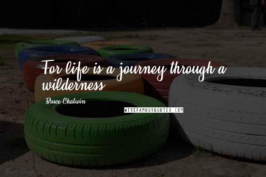 Bruce Chatwin Quotes: For life is a journey through a wilderness