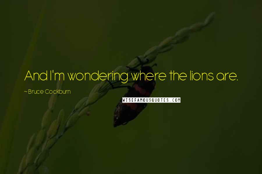 Bruce Cockburn Quotes: And I'm wondering where the lions are.