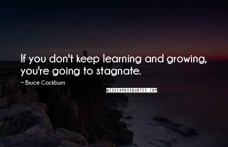 Bruce Cockburn Quotes: If you don't keep learning and growing, you're going to stagnate.