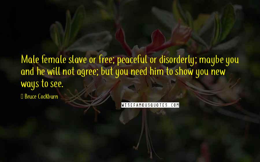 Bruce Cockburn Quotes: Male female slave or free; peaceful or disorderly; maybe you and he will not agree; but you need him to show you new ways to see.