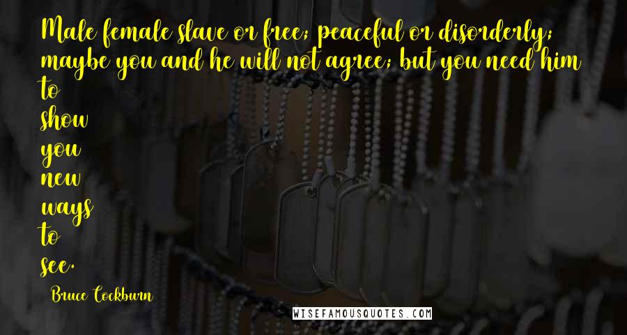 Bruce Cockburn Quotes: Male female slave or free; peaceful or disorderly; maybe you and he will not agree; but you need him to show you new ways to see.