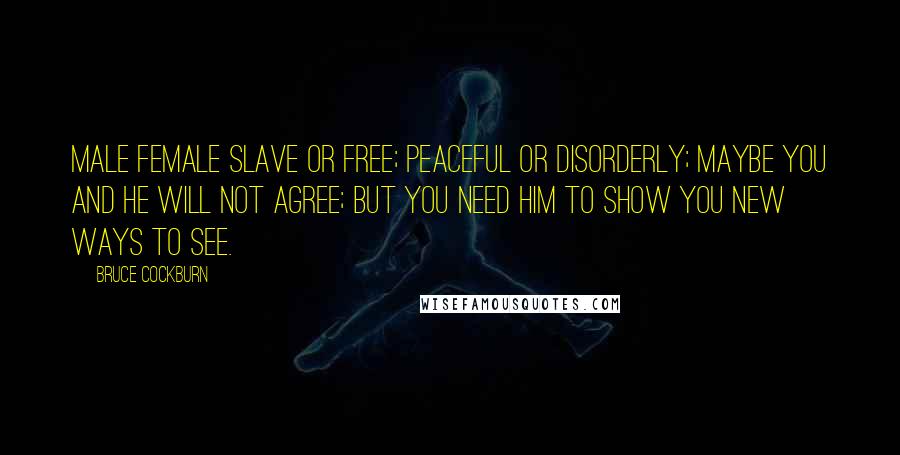 Bruce Cockburn Quotes: Male female slave or free; peaceful or disorderly; maybe you and he will not agree; but you need him to show you new ways to see.