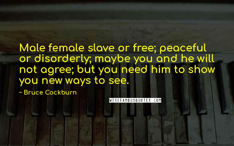 Bruce Cockburn Quotes: Male female slave or free; peaceful or disorderly; maybe you and he will not agree; but you need him to show you new ways to see.