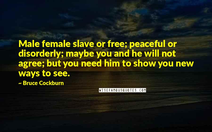 Bruce Cockburn Quotes: Male female slave or free; peaceful or disorderly; maybe you and he will not agree; but you need him to show you new ways to see.