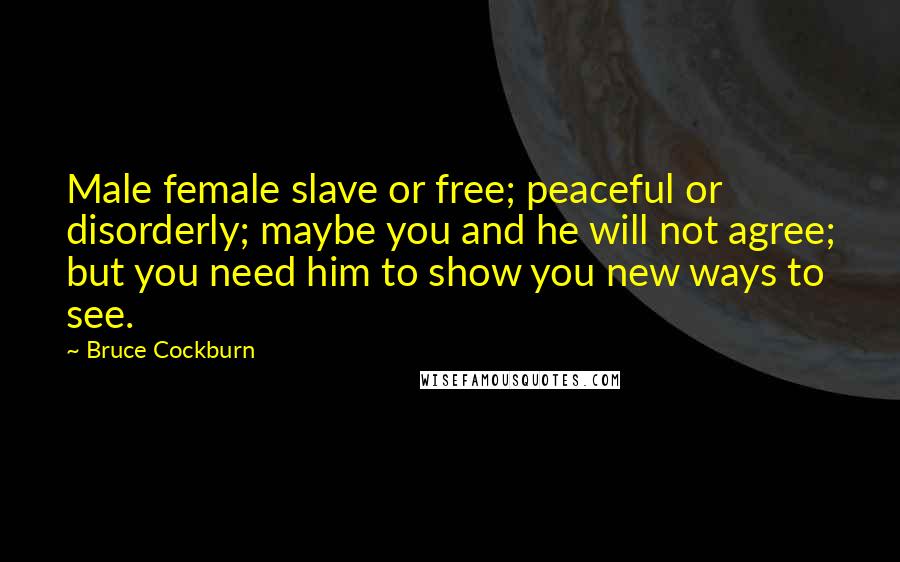 Bruce Cockburn Quotes: Male female slave or free; peaceful or disorderly; maybe you and he will not agree; but you need him to show you new ways to see.