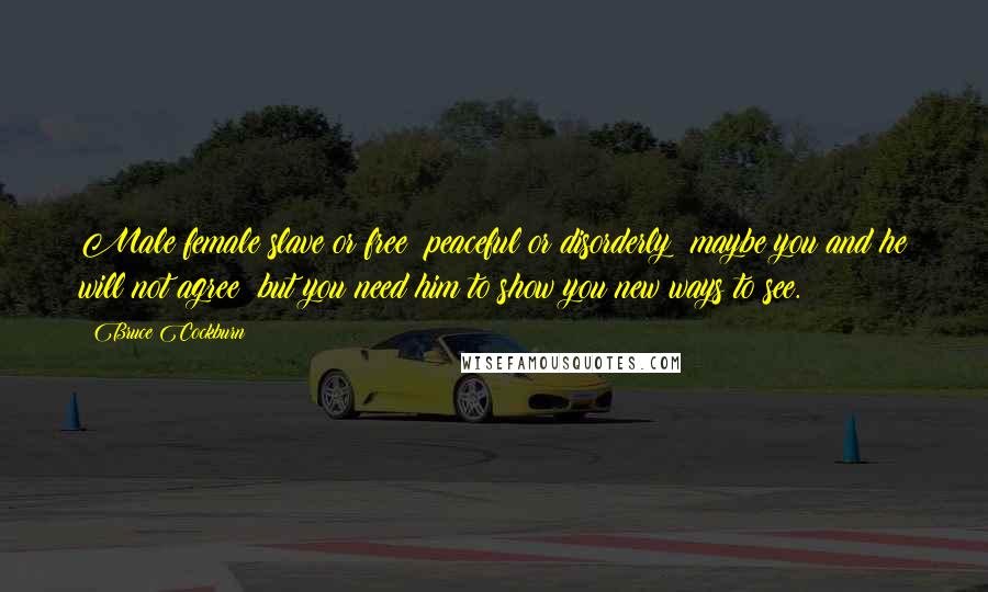 Bruce Cockburn Quotes: Male female slave or free; peaceful or disorderly; maybe you and he will not agree; but you need him to show you new ways to see.
