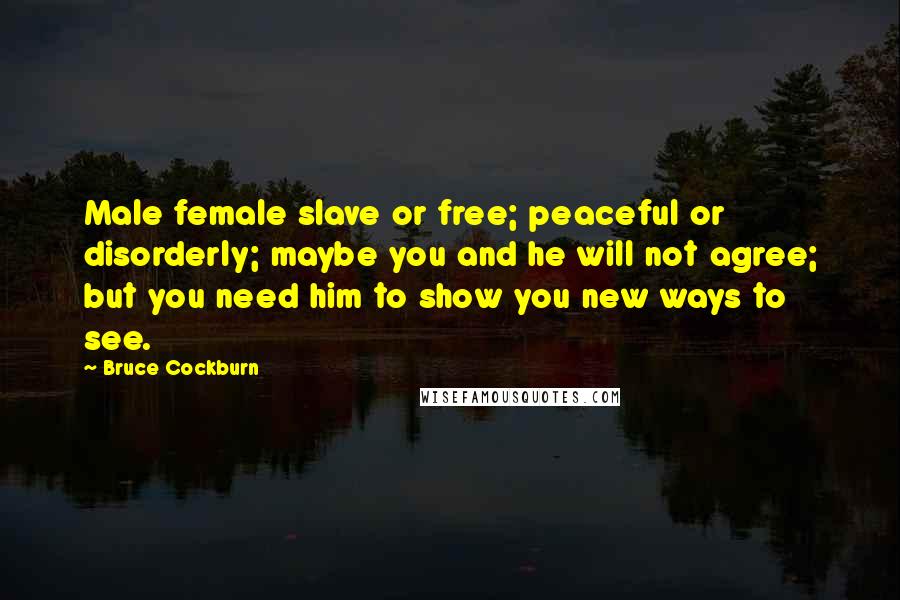 Bruce Cockburn Quotes: Male female slave or free; peaceful or disorderly; maybe you and he will not agree; but you need him to show you new ways to see.