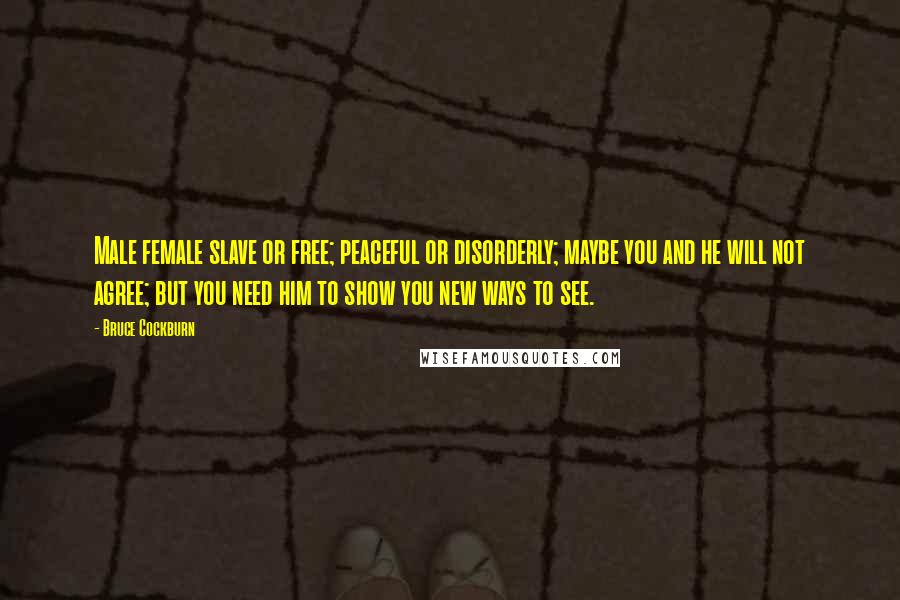 Bruce Cockburn Quotes: Male female slave or free; peaceful or disorderly; maybe you and he will not agree; but you need him to show you new ways to see.