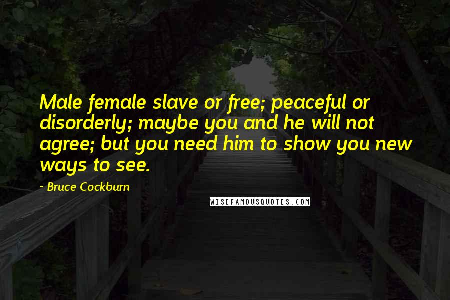 Bruce Cockburn Quotes: Male female slave or free; peaceful or disorderly; maybe you and he will not agree; but you need him to show you new ways to see.