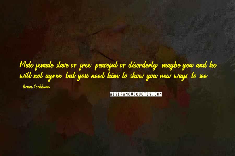 Bruce Cockburn Quotes: Male female slave or free; peaceful or disorderly; maybe you and he will not agree; but you need him to show you new ways to see.