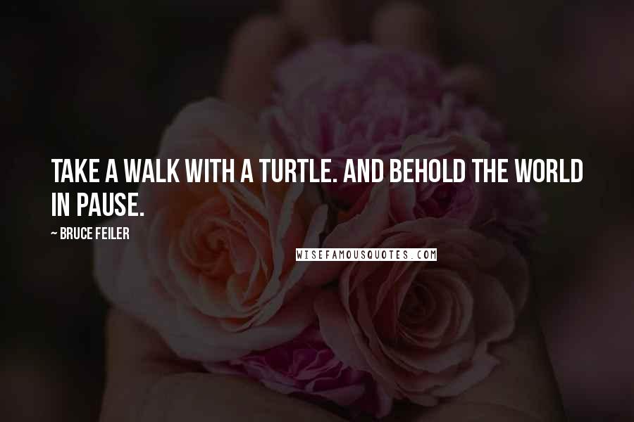 Bruce Feiler Quotes: Take a walk with a turtle. And behold the world in pause.