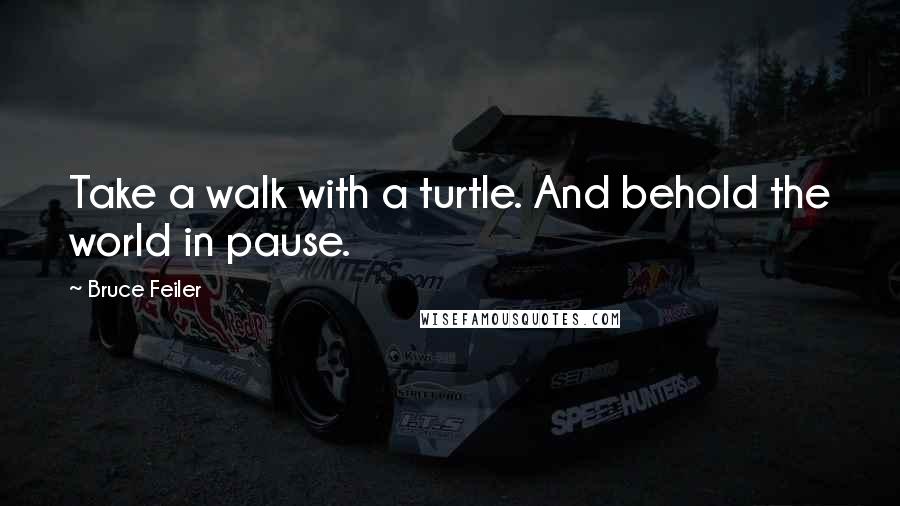 Bruce Feiler Quotes: Take a walk with a turtle. And behold the world in pause.