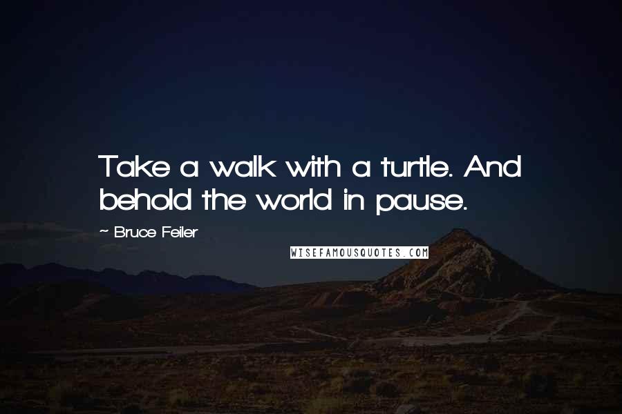 Bruce Feiler Quotes: Take a walk with a turtle. And behold the world in pause.