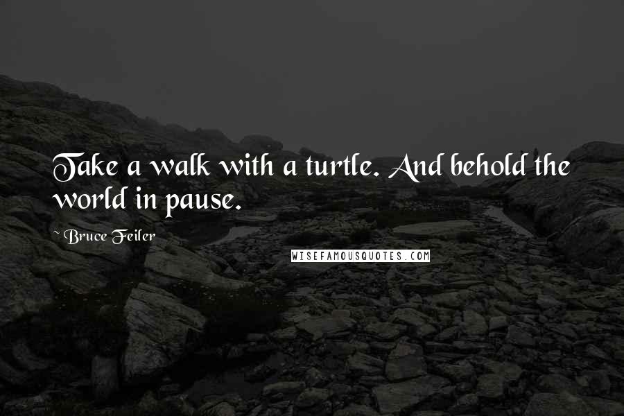 Bruce Feiler Quotes: Take a walk with a turtle. And behold the world in pause.