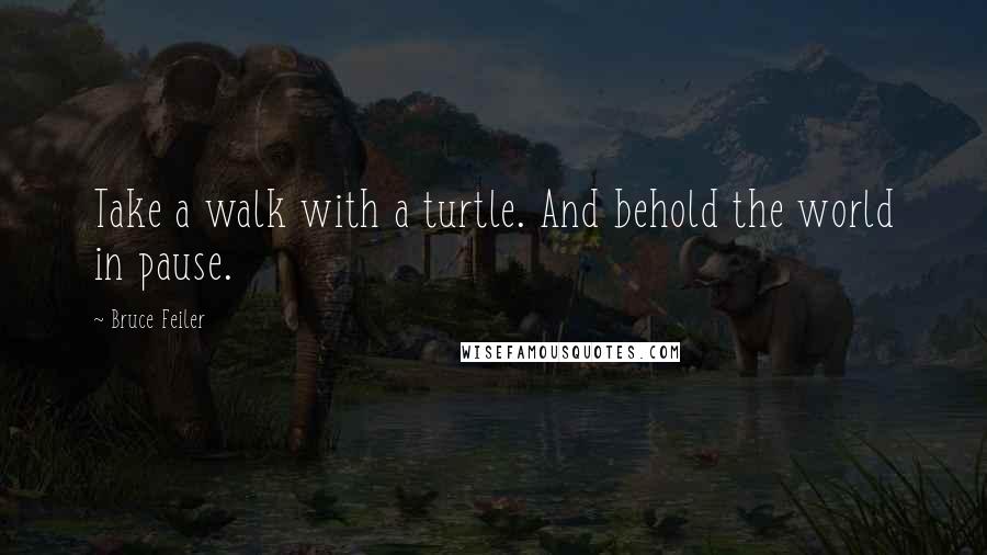 Bruce Feiler Quotes: Take a walk with a turtle. And behold the world in pause.