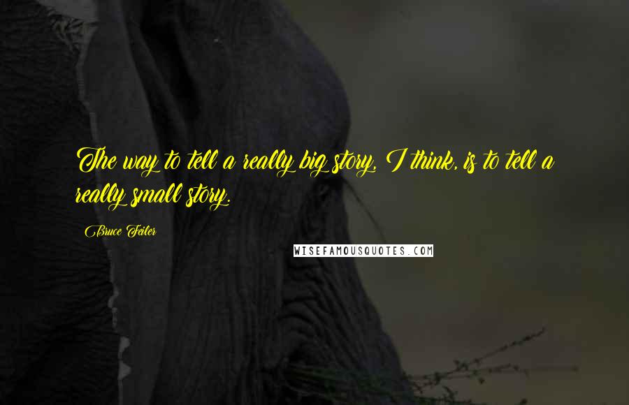 Bruce Feiler Quotes: The way to tell a really big story, I think, is to tell a really small story.