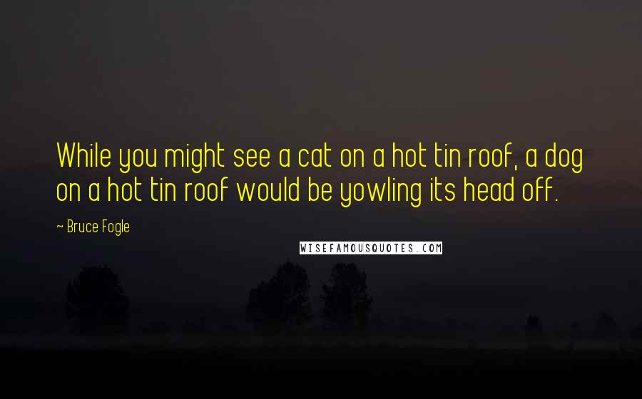 Bruce Fogle Quotes: While you might see a cat on a hot tin roof, a dog on a hot tin roof would be yowling its head off.