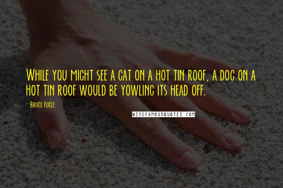 Bruce Fogle Quotes: While you might see a cat on a hot tin roof, a dog on a hot tin roof would be yowling its head off.