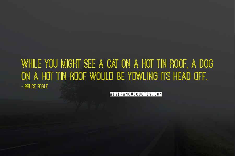 Bruce Fogle Quotes: While you might see a cat on a hot tin roof, a dog on a hot tin roof would be yowling its head off.
