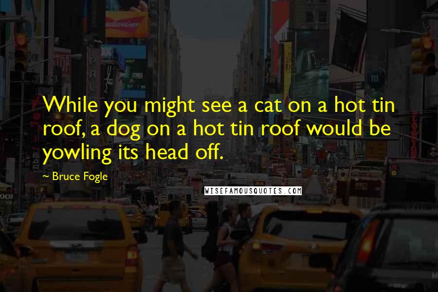 Bruce Fogle Quotes: While you might see a cat on a hot tin roof, a dog on a hot tin roof would be yowling its head off.