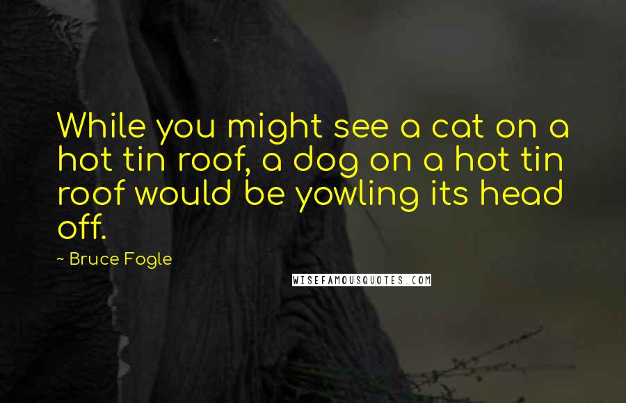 Bruce Fogle Quotes: While you might see a cat on a hot tin roof, a dog on a hot tin roof would be yowling its head off.