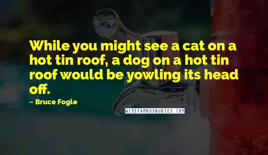 Bruce Fogle Quotes: While you might see a cat on a hot tin roof, a dog on a hot tin roof would be yowling its head off.