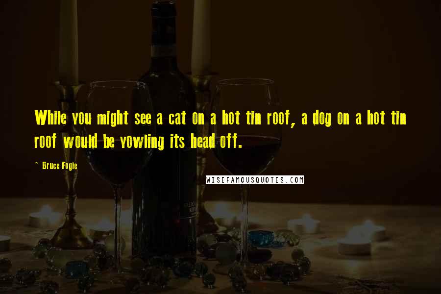 Bruce Fogle Quotes: While you might see a cat on a hot tin roof, a dog on a hot tin roof would be yowling its head off.