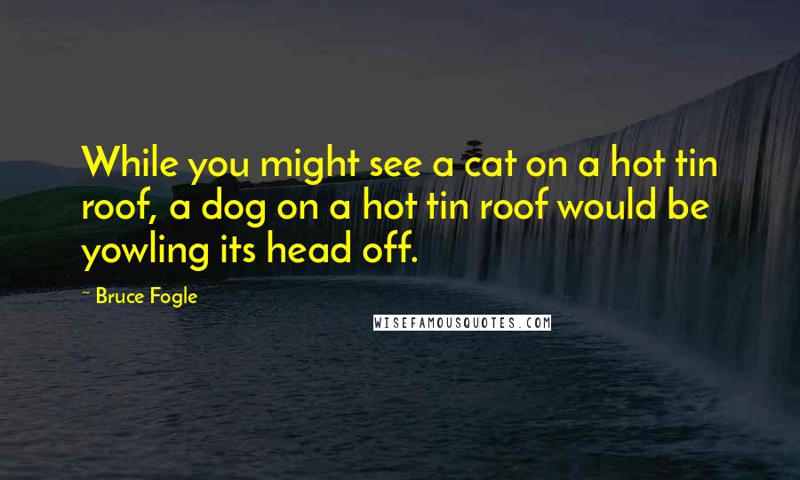 Bruce Fogle Quotes: While you might see a cat on a hot tin roof, a dog on a hot tin roof would be yowling its head off.