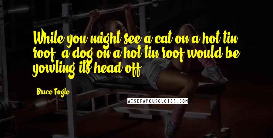 Bruce Fogle Quotes: While you might see a cat on a hot tin roof, a dog on a hot tin roof would be yowling its head off.