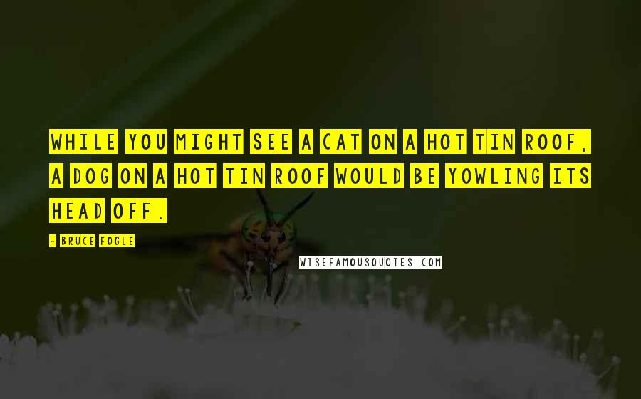 Bruce Fogle Quotes: While you might see a cat on a hot tin roof, a dog on a hot tin roof would be yowling its head off.