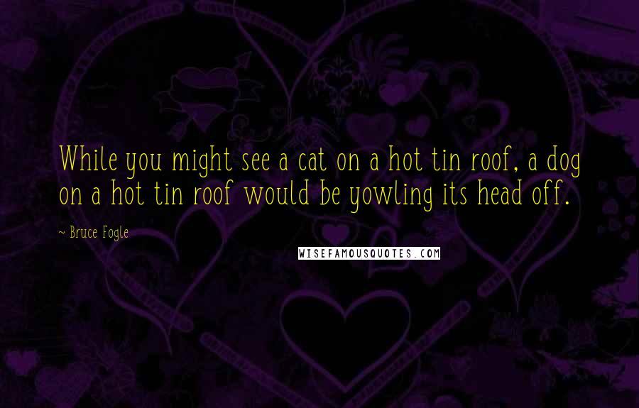 Bruce Fogle Quotes: While you might see a cat on a hot tin roof, a dog on a hot tin roof would be yowling its head off.