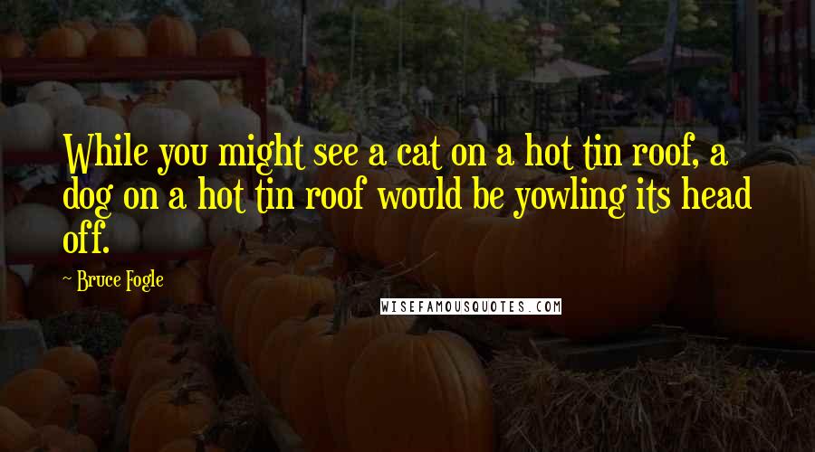 Bruce Fogle Quotes: While you might see a cat on a hot tin roof, a dog on a hot tin roof would be yowling its head off.