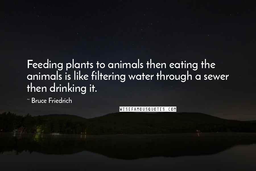 Bruce Friedrich Quotes: Feeding plants to animals then eating the animals is like filtering water through a sewer then drinking it.