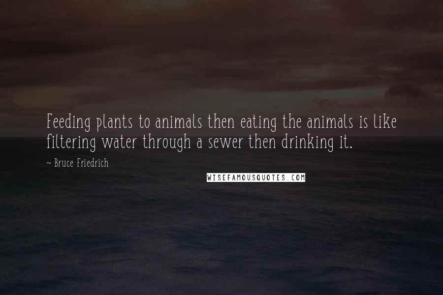 Bruce Friedrich Quotes: Feeding plants to animals then eating the animals is like filtering water through a sewer then drinking it.