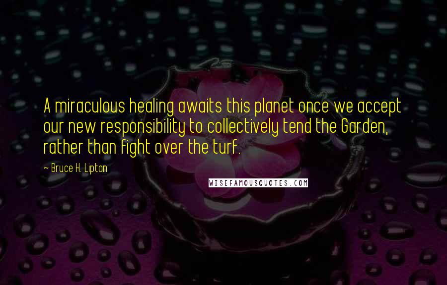 Bruce H. Lipton Quotes: A miraculous healing awaits this planet once we accept our new responsibility to collectively tend the Garden, rather than fight over the turf.