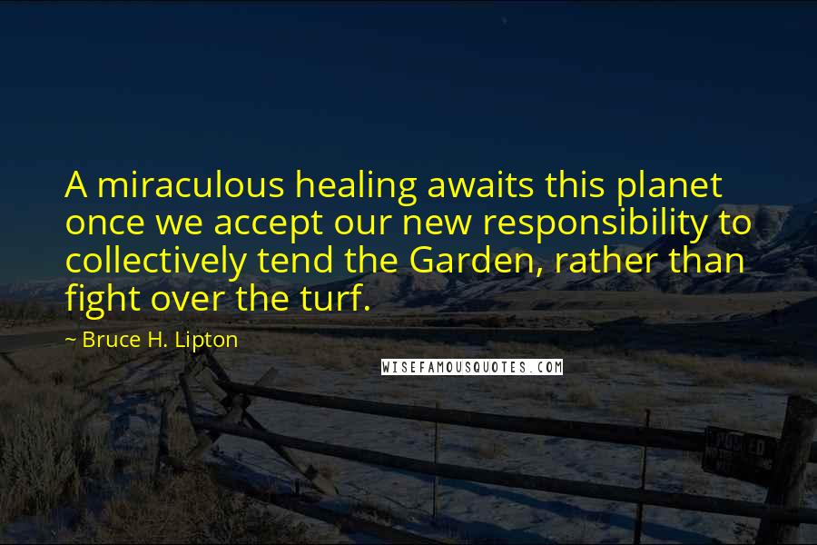 Bruce H. Lipton Quotes: A miraculous healing awaits this planet once we accept our new responsibility to collectively tend the Garden, rather than fight over the turf.