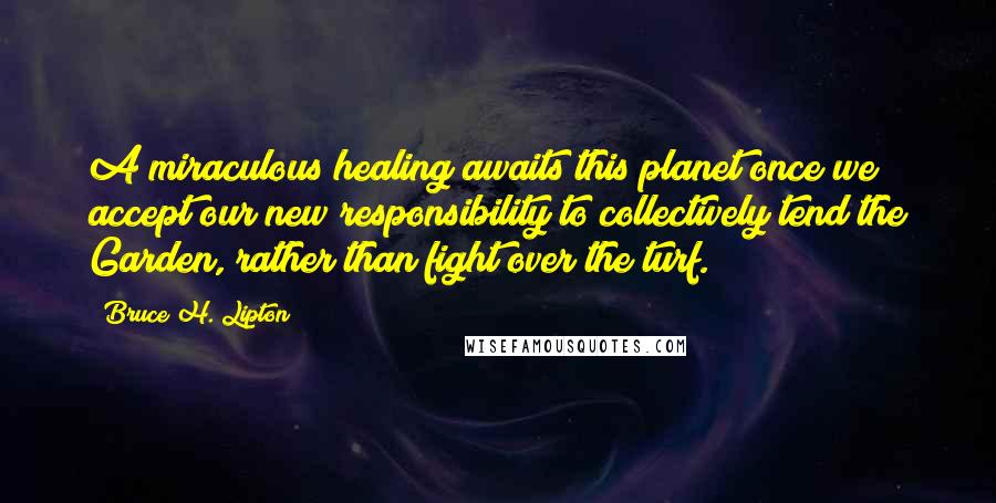 Bruce H. Lipton Quotes: A miraculous healing awaits this planet once we accept our new responsibility to collectively tend the Garden, rather than fight over the turf.