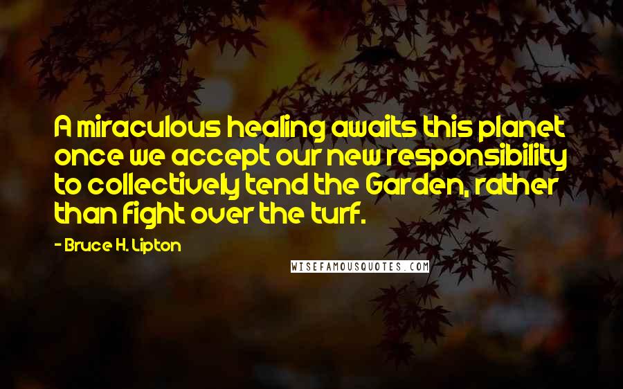 Bruce H. Lipton Quotes: A miraculous healing awaits this planet once we accept our new responsibility to collectively tend the Garden, rather than fight over the turf.