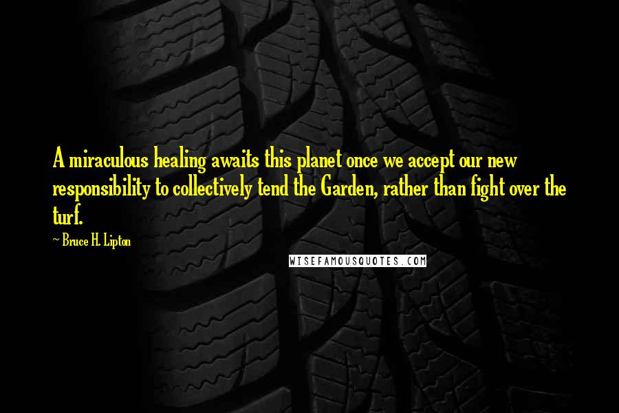 Bruce H. Lipton Quotes: A miraculous healing awaits this planet once we accept our new responsibility to collectively tend the Garden, rather than fight over the turf.