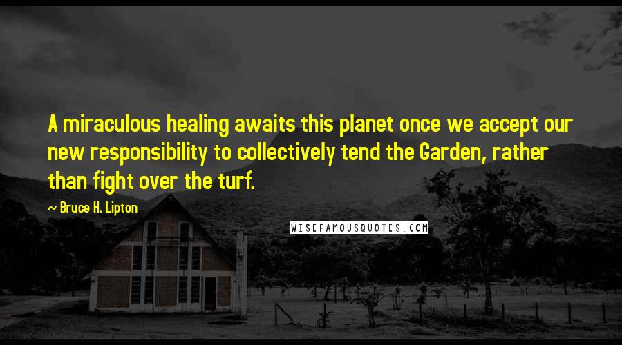 Bruce H. Lipton Quotes: A miraculous healing awaits this planet once we accept our new responsibility to collectively tend the Garden, rather than fight over the turf.
