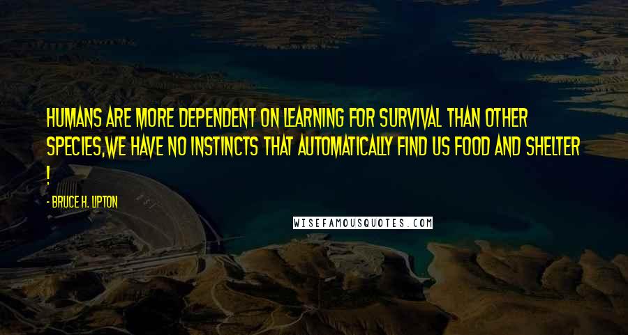 Bruce H. Lipton Quotes: Humans are more dependent on learning for survival than other species,We have no instincts that automatically find us food and shelter !