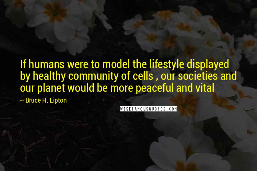 Bruce H. Lipton Quotes: If humans were to model the lifestyle displayed by healthy community of cells , our societies and our planet would be more peaceful and vital